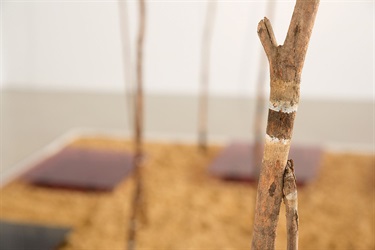 04_Can-it-be-the-everlasting-is-everchanging.jpg