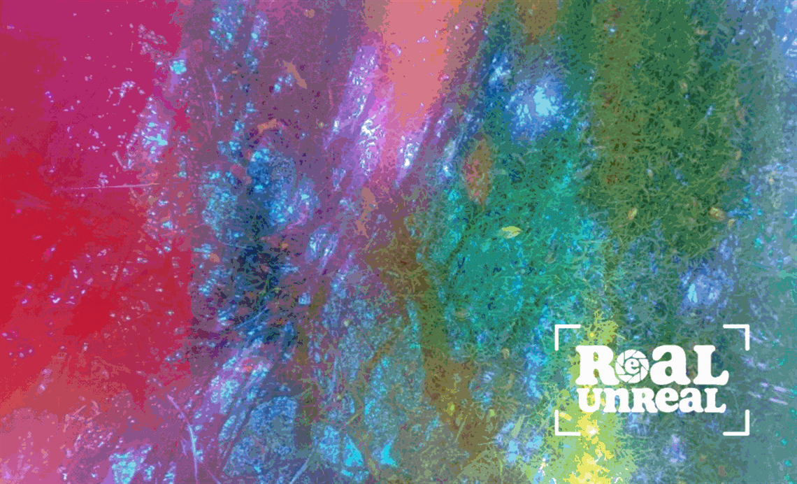 real-unreal-web-image.gif